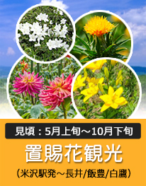 置賜花観光